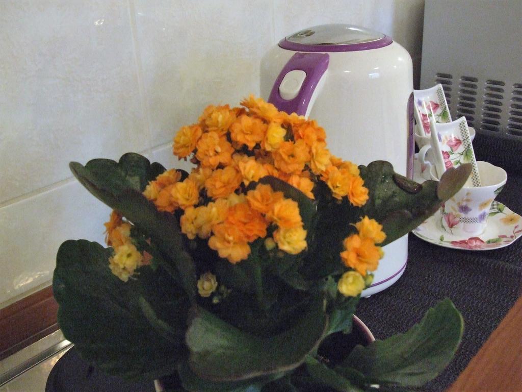Ivana Apartman Split